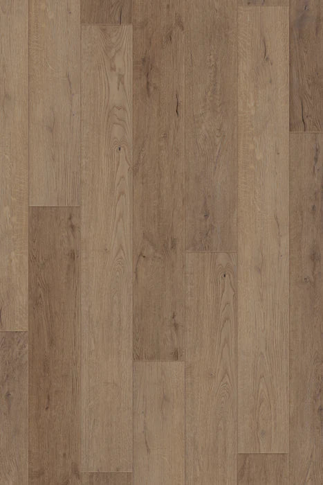 Reverie Oak LVP Flooring