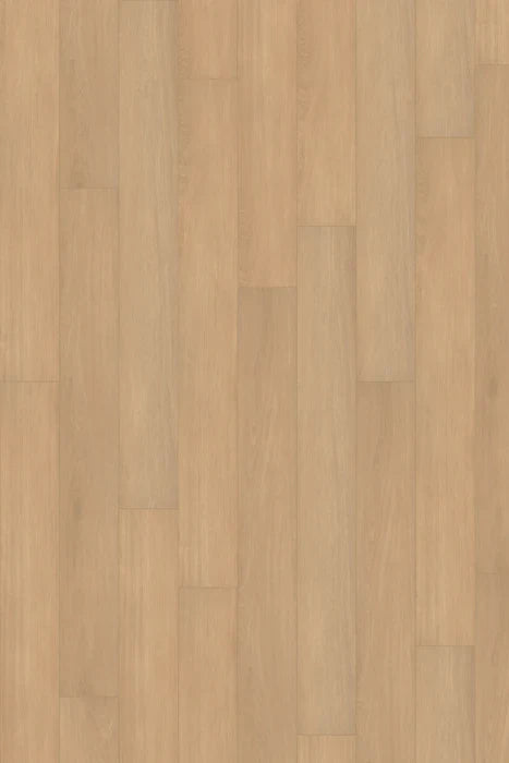 Ivory Oak LVP Flooring