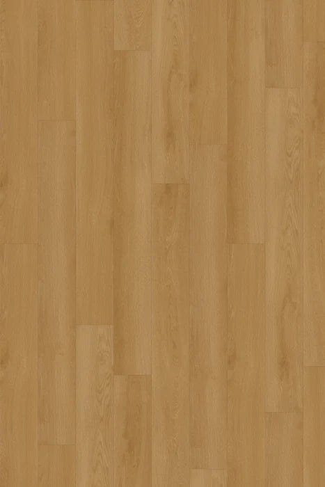 Dawn Oak LVP Flooring