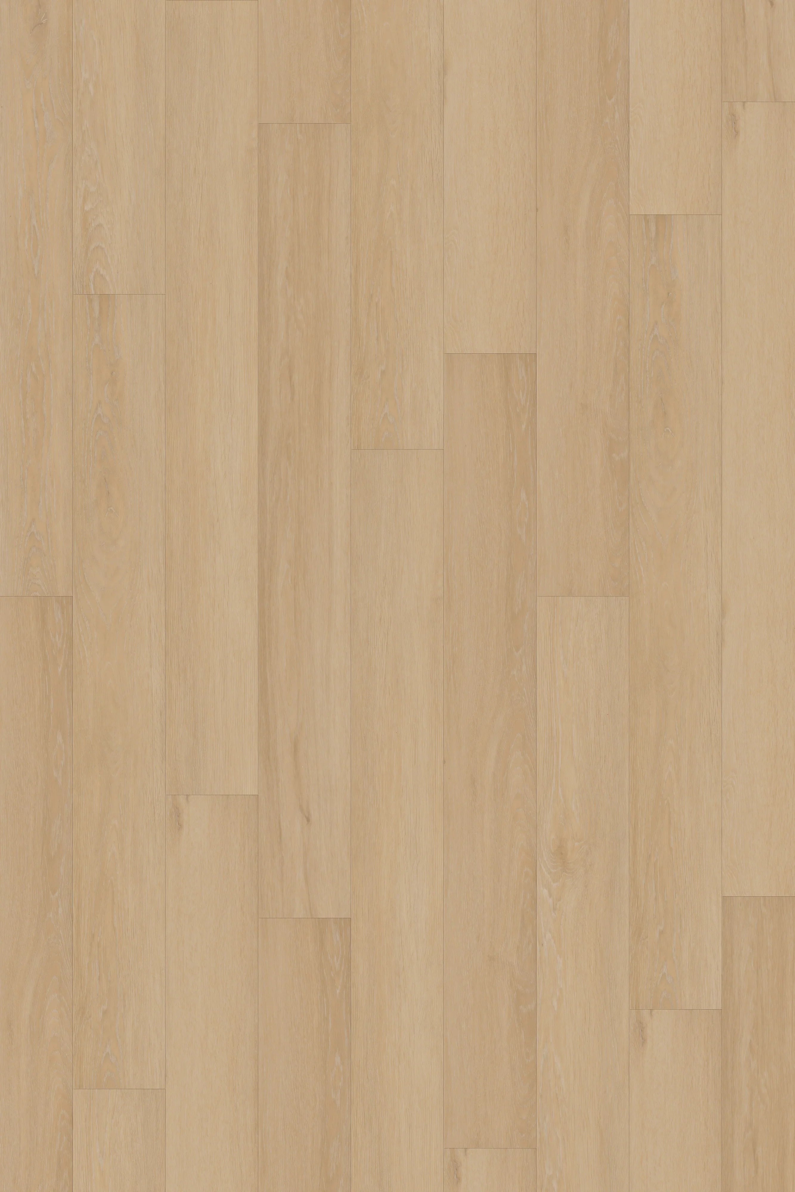 Summerville Oak LVP Flooring