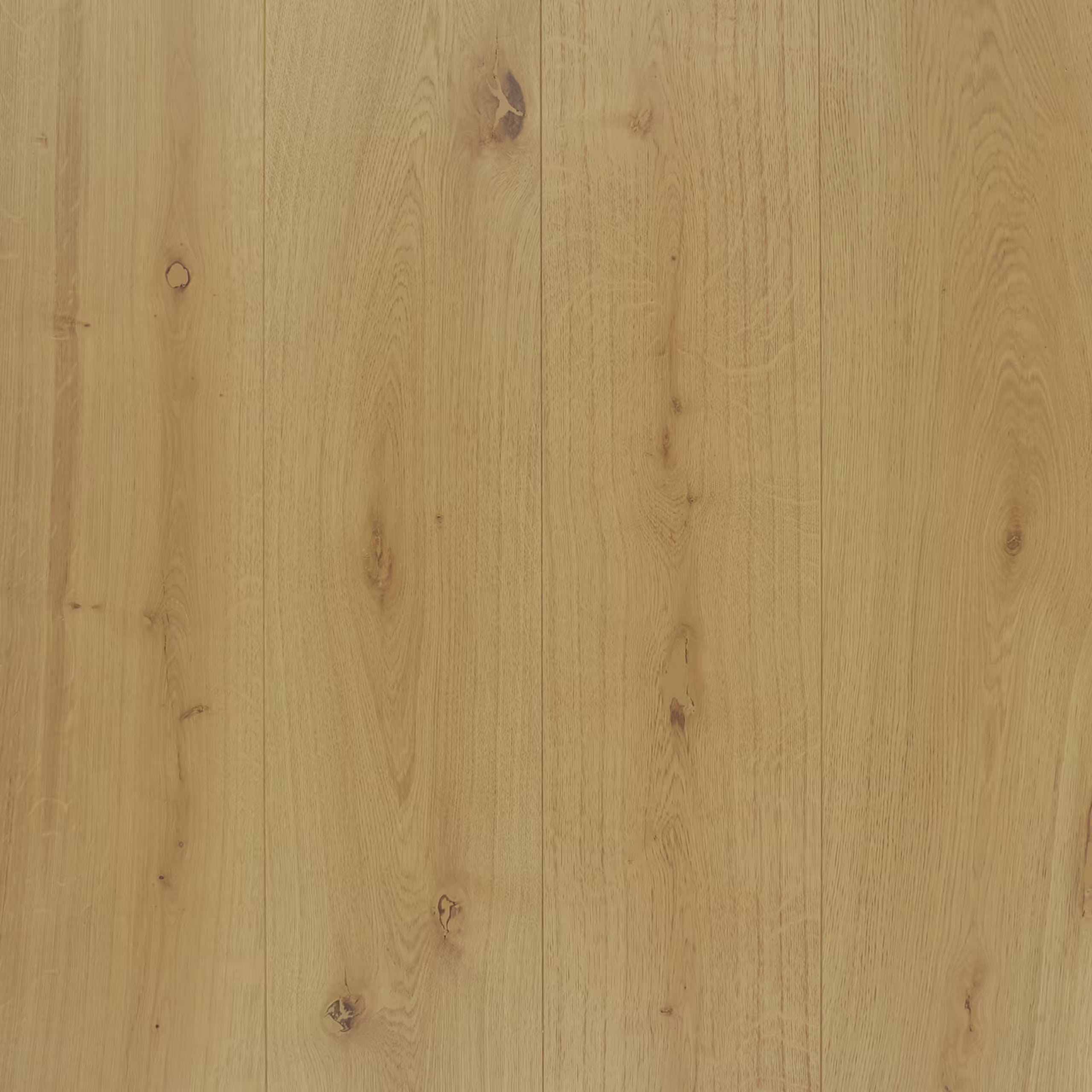 RIVA Tierra Monte Hardwood Flooring