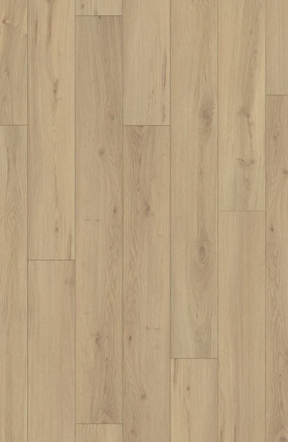 Sullivans Oak LVP Flooring