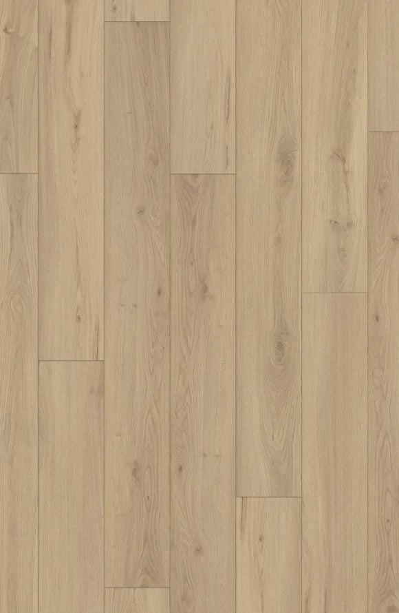 Sullivans Oak LVP Flooring