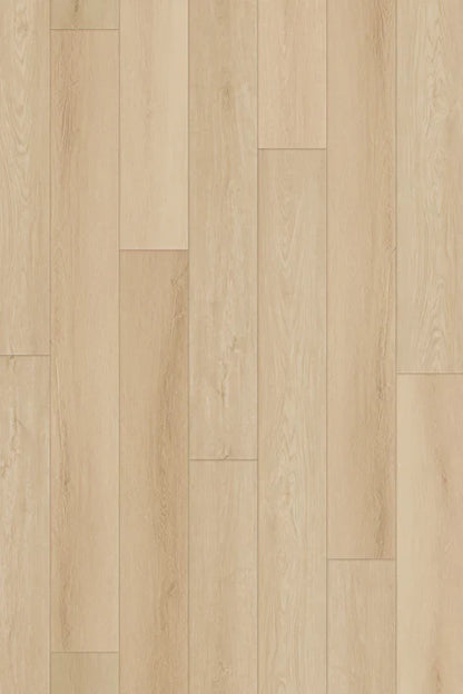 Pearl Oak LVP Flooring