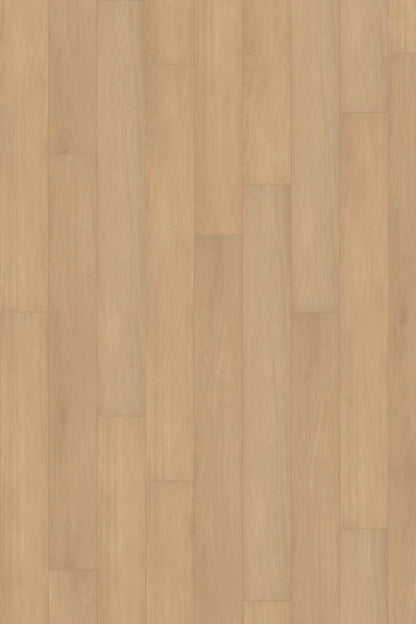 Ivory Oak LVP Flooring