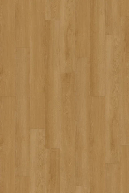 Dawn Oak LVP Flooring