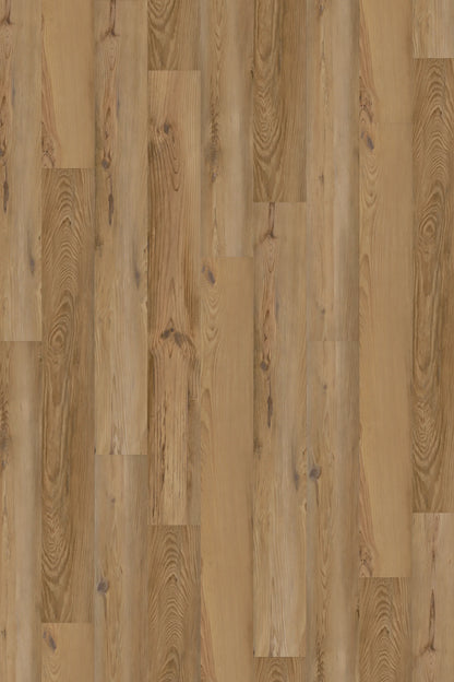 Restoration Pine LVP Flooring